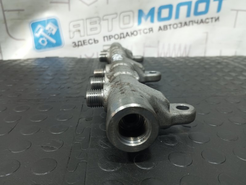 Топливная рампа Santa Fe DM D4HB Евро 6