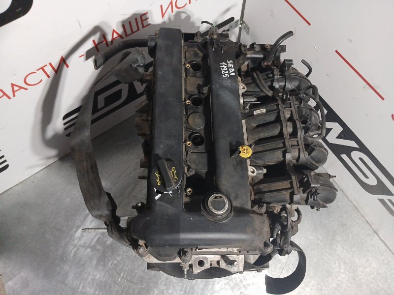 Двигатель Mondeo BG SEBA
