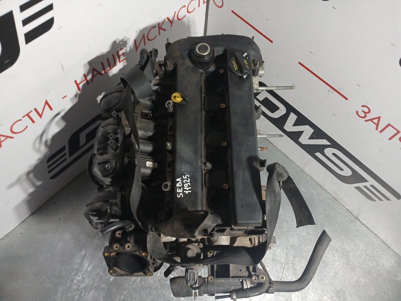 Двигатель Mondeo BG SEBA
