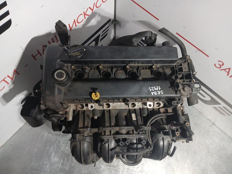 Двигатель Mondeo BG SEBA