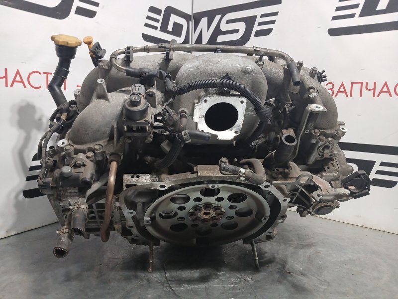Двигатель Legacy 2005 SG5 EJ203