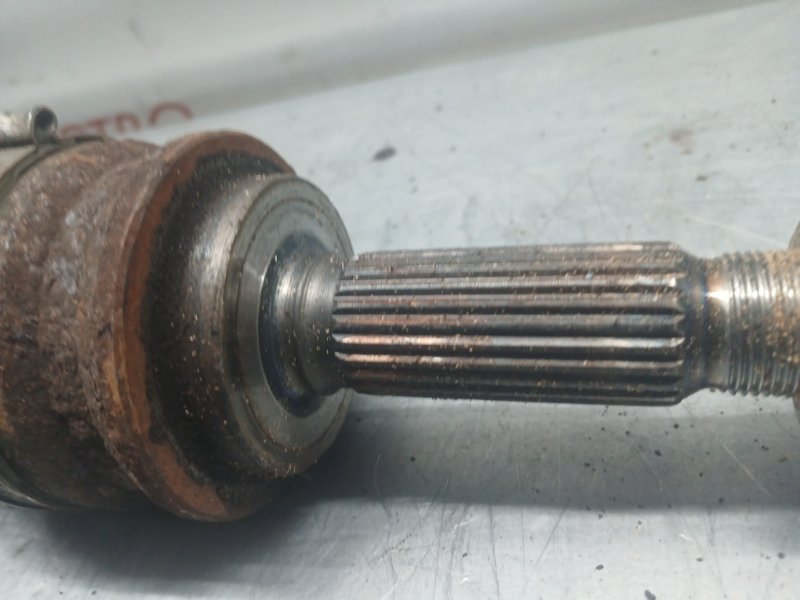 Привод, 1000 рублей, Красноярск