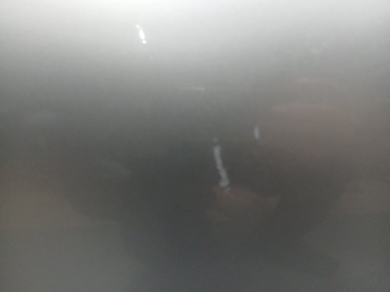 Дверь передняя правая, 9500 рублей, Красноярск