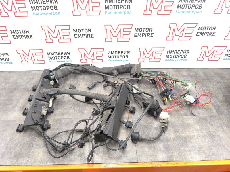 Проводка двигателя BMW 7 1999 3.5 M62B35 358S2 12511438433 Б/У