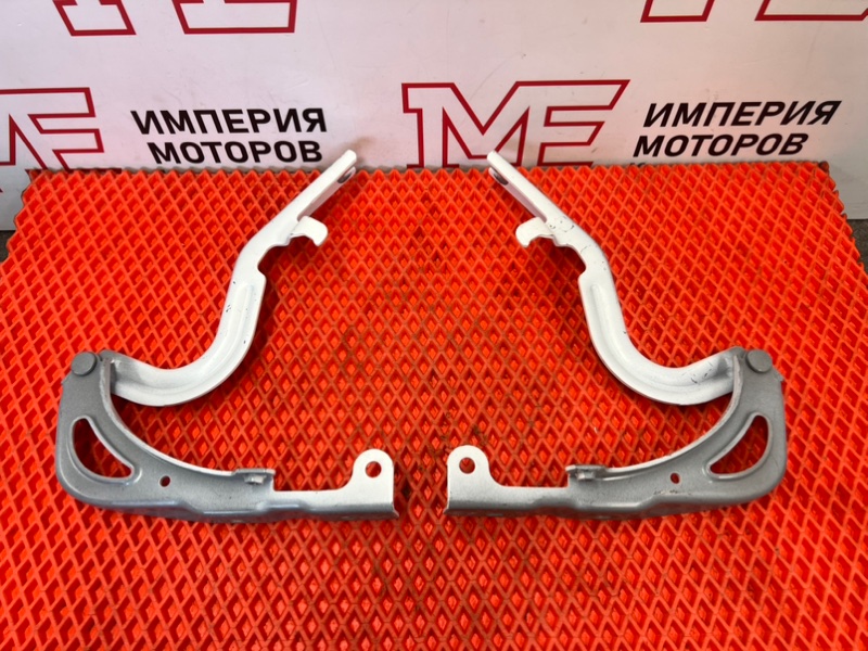 Петли капота 2шт E5 2023
