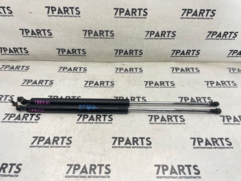 Амортизатор задней двери FORD ESCAPE EP3WF L3 2004 (б/у)