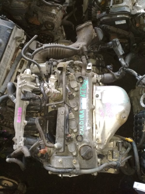Двигатель Toyota Caldina AZT241 1AZ-FSE 4428559