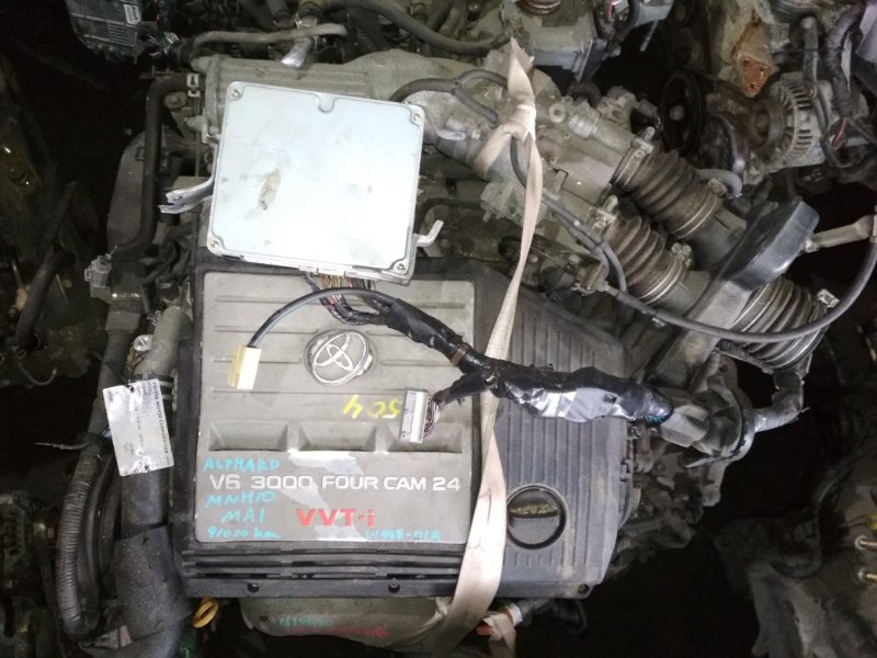 Двигатель Toyota Alphard MNH10 1MZ-FE 1619070