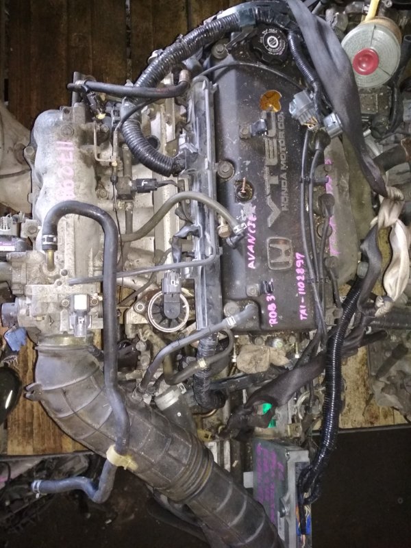 Двигатель Honda Avancier TA1 F23A 3103068