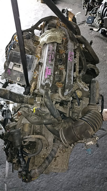Двигатель Toyota Ipsum ACM26 2AZ-FE 0599320