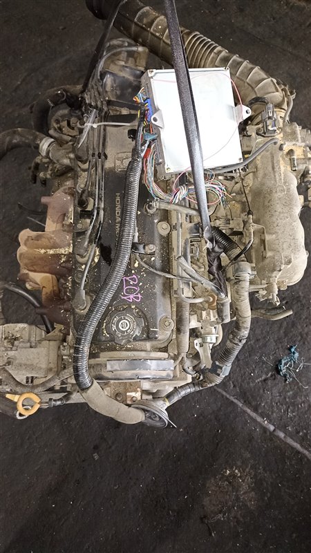 Двигатель Honda Accord CF6 F23A 1200678