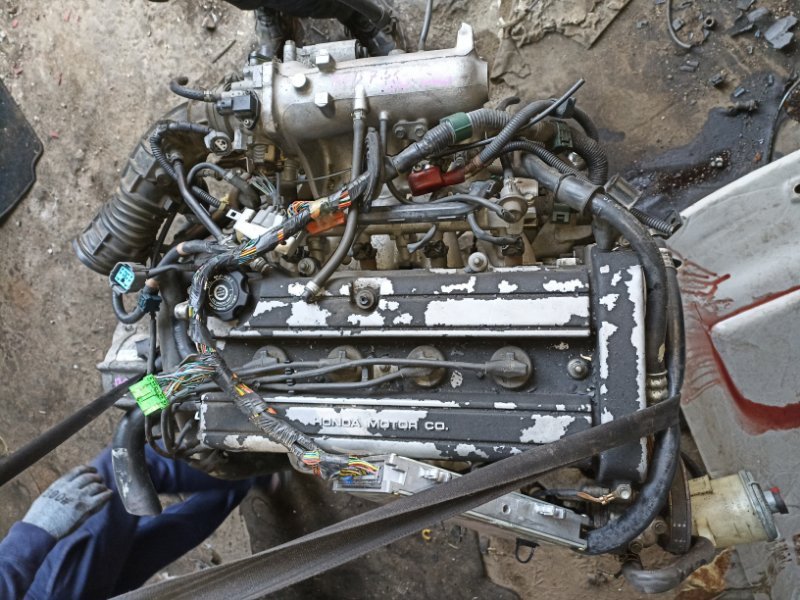 Двигатель Honda Orthia EL2 B20B 1140692