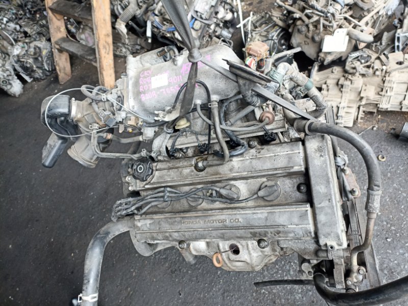 Двигатель Honda Cr-V RD1 B20B 7058994