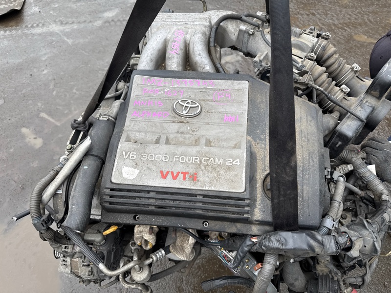 Двигатель TOYOTA ALPHARD MNH15 1MZ-FE 1375743 (б/у)