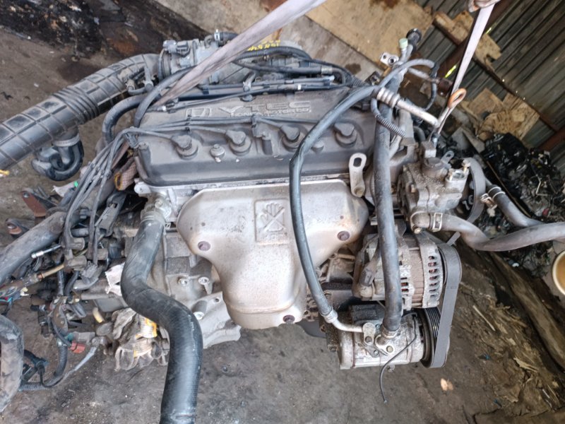 Двигатель HONDA ODYSSEY RA6 F23A 2505269 (б/у)