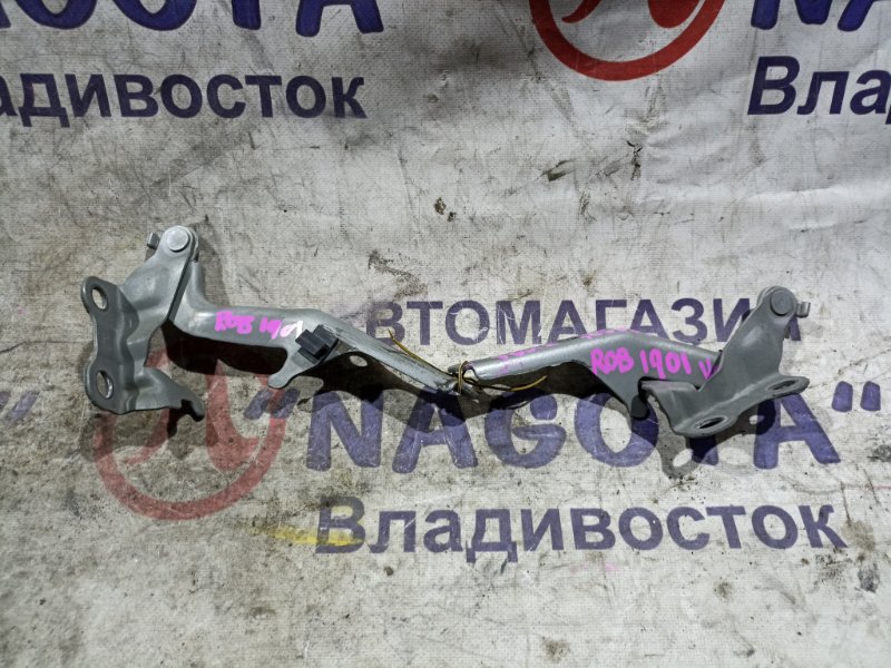 Петли капота TOYOTA VOLTZ ZZE138 1ZZ-FE передние PARA (б/у)