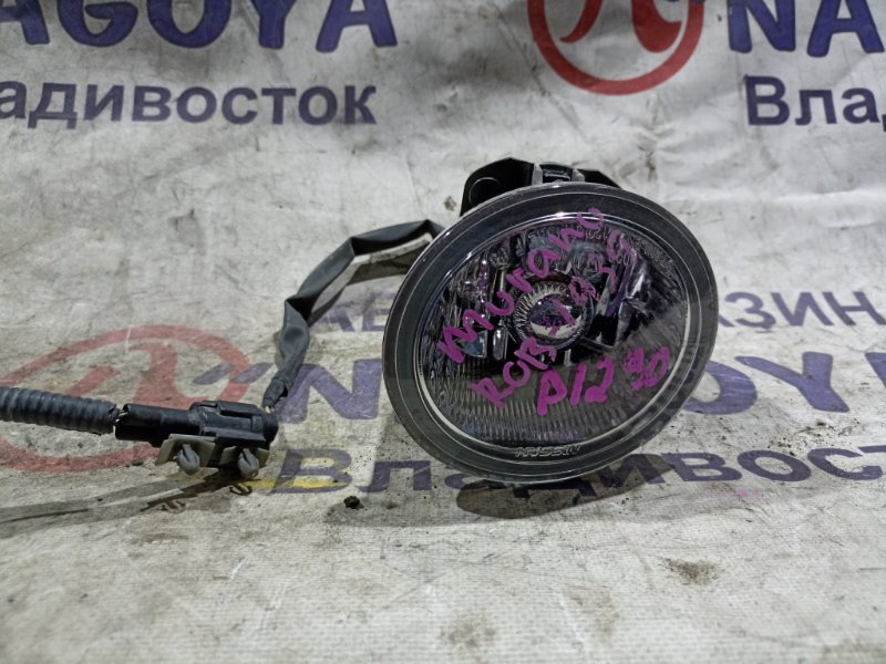 Туманка NISSAN MURANO PNZ50 VQ35DE передняя правая P1290 (б/у)