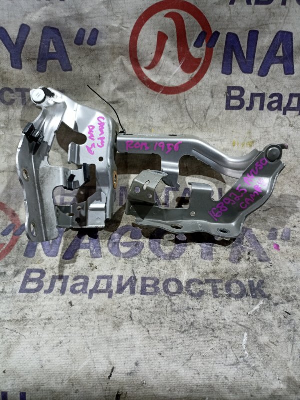 Петли капота TOYOTA CAMRY AVV50 2AR-FXE передние PARA (б/у)