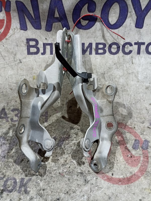 Петли капота TOYOTA COROLLA SPACIO NZE121 1NZ-FE передние PARA (б/у)