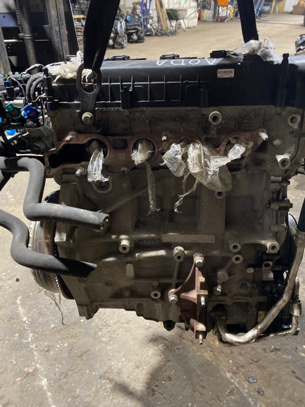 Двигатель Ford Focus 2 AODA