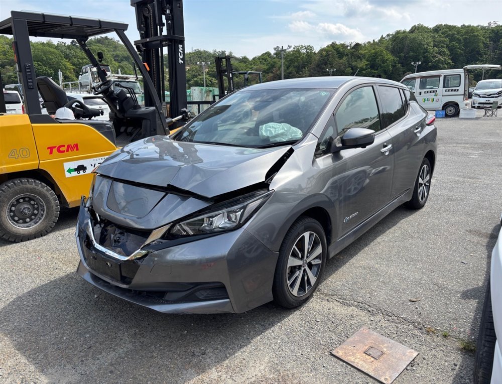 Подсветка номера Leaf 2019 ZE1 EM57 Подсветка номера Leaf 2019 ZE1 EM57