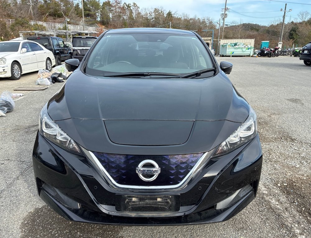 Защита крыла передняя правая Leaf 2019 ZE1 EM57