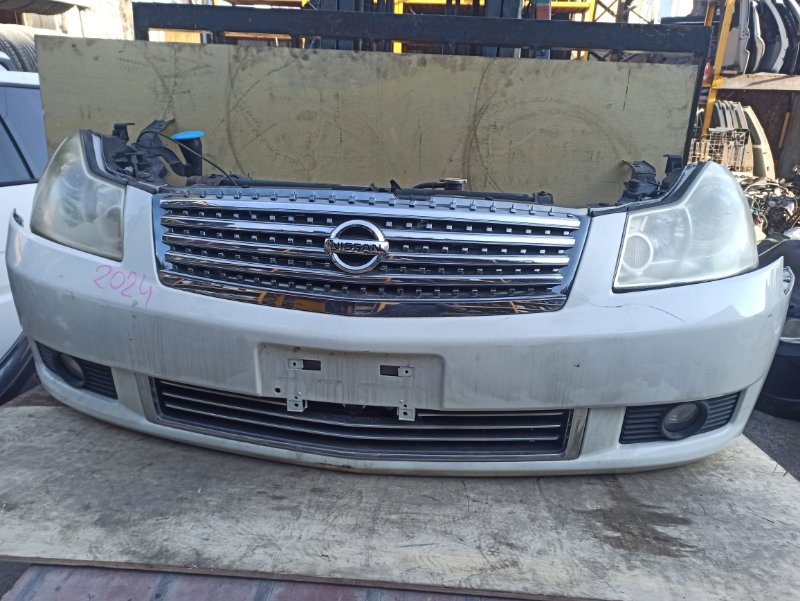 Nose cut Nissan Fuga Y50 Nose cut Nissan Fuga Y50