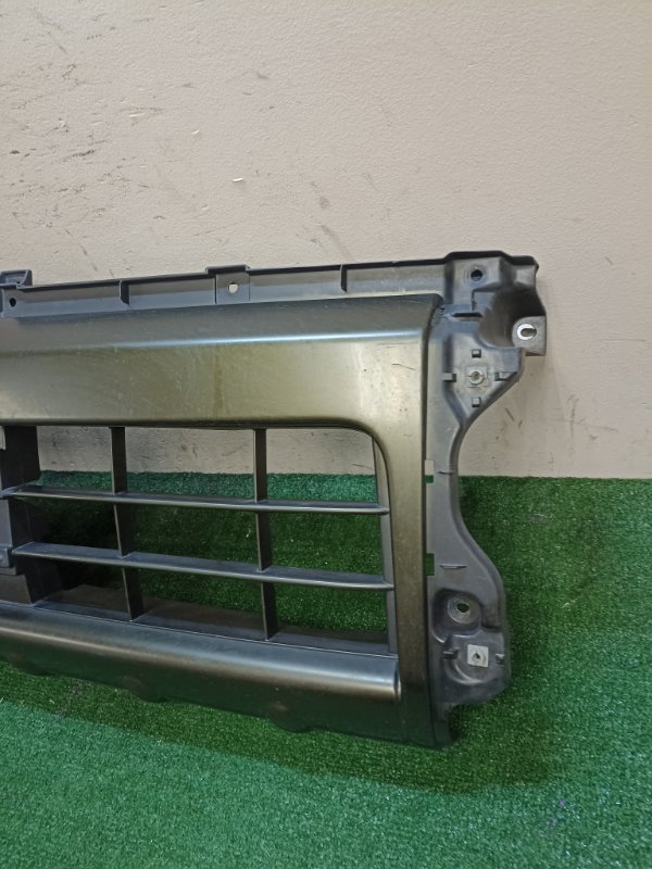 Решетка радиатора передняя NAKED L750S