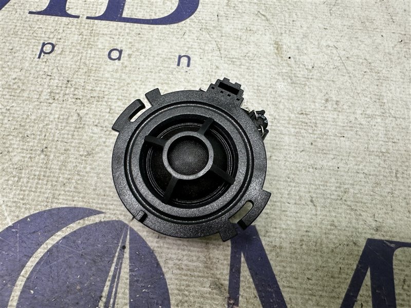 Динамик Audi A6 C6 BDW