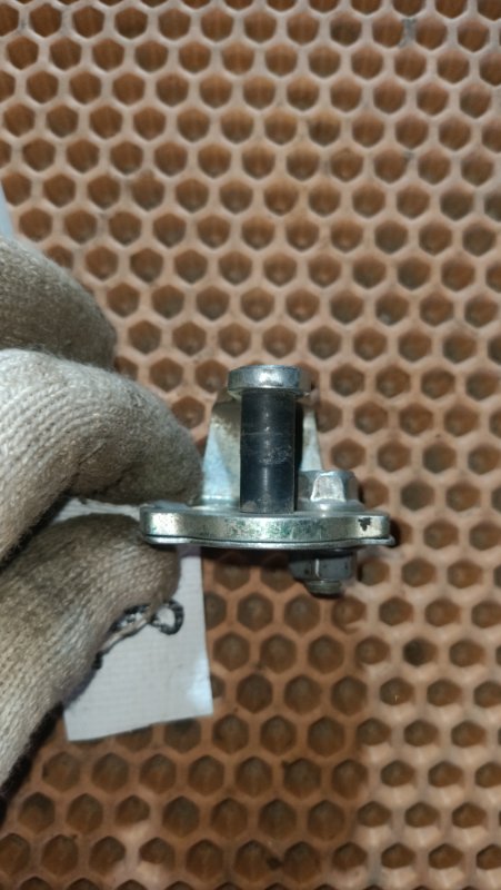 Петля двери Doblo 223 BZ MPI 8V CF4 (M11)