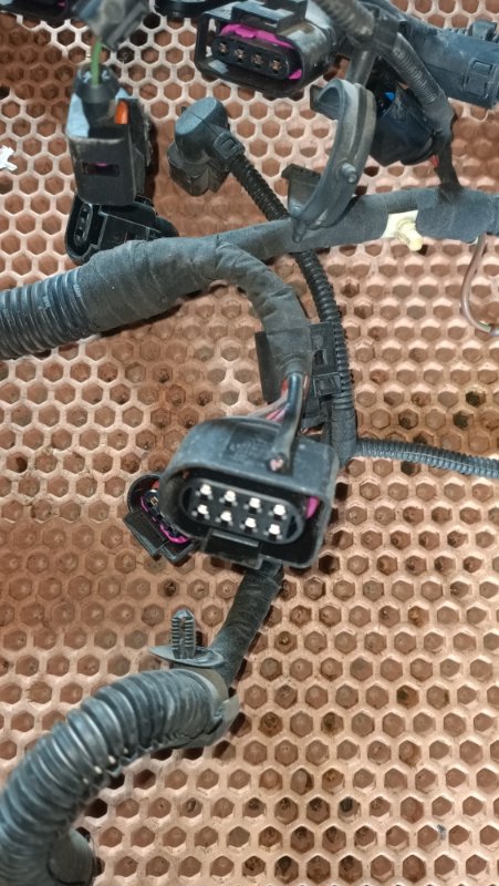 Проводка двигателя Volkswagen Passat B6 BVY