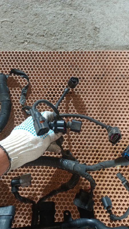 Проводка двигателя Passat B6 BVY