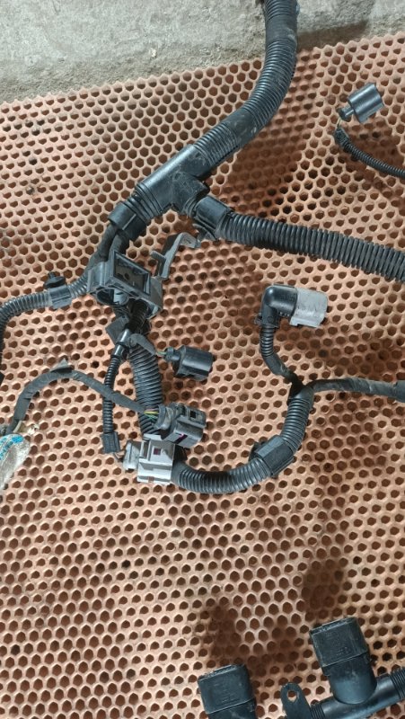 Проводка двигателя Passat B6 BVY