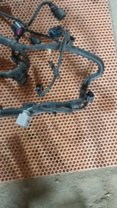 Проводка двигателя Passat B6 BVY