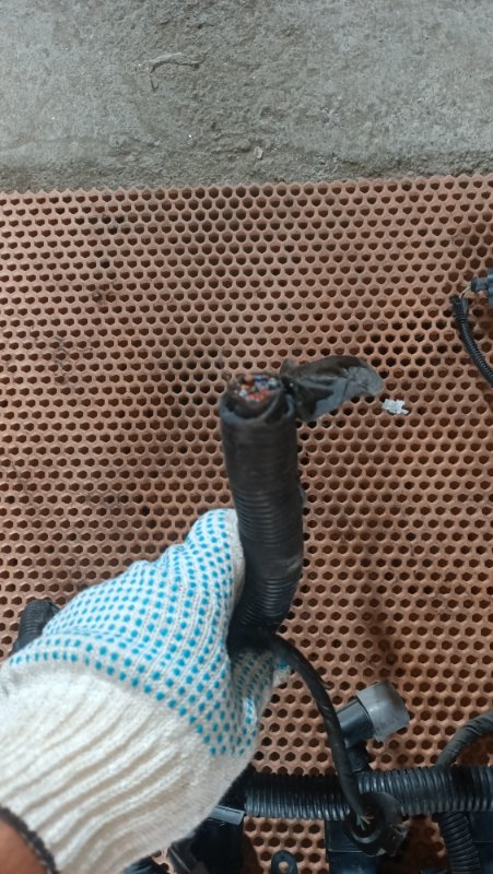 Проводка двигателя Passat B6 BVY