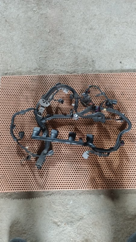 Проводка двигателя Passat B6 BVY