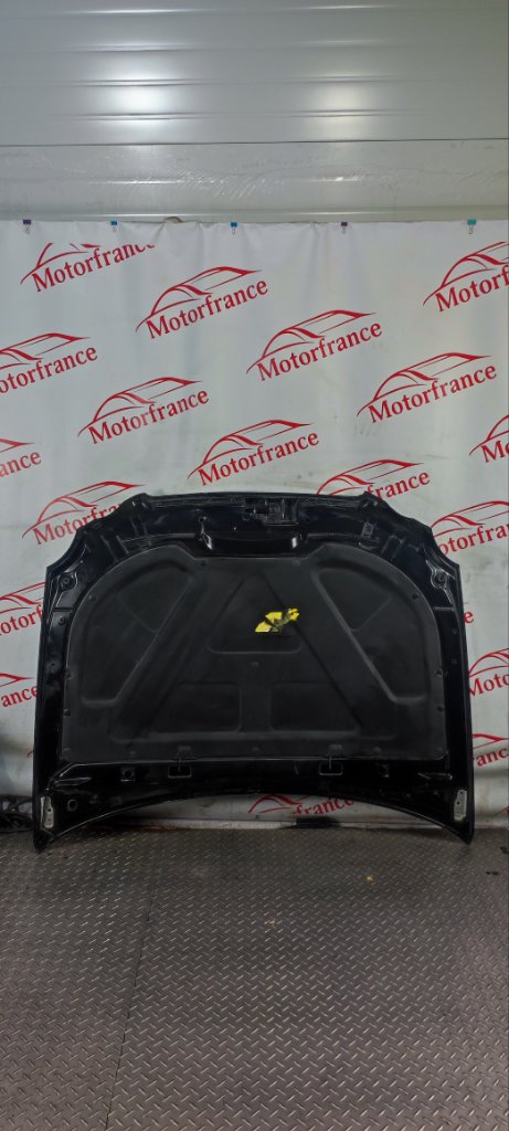 Капот Opirus 2010