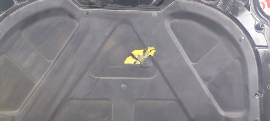 Капот Opirus 2010