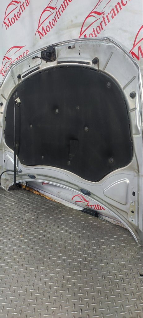 Капот Passat 2009 2.0 GXV