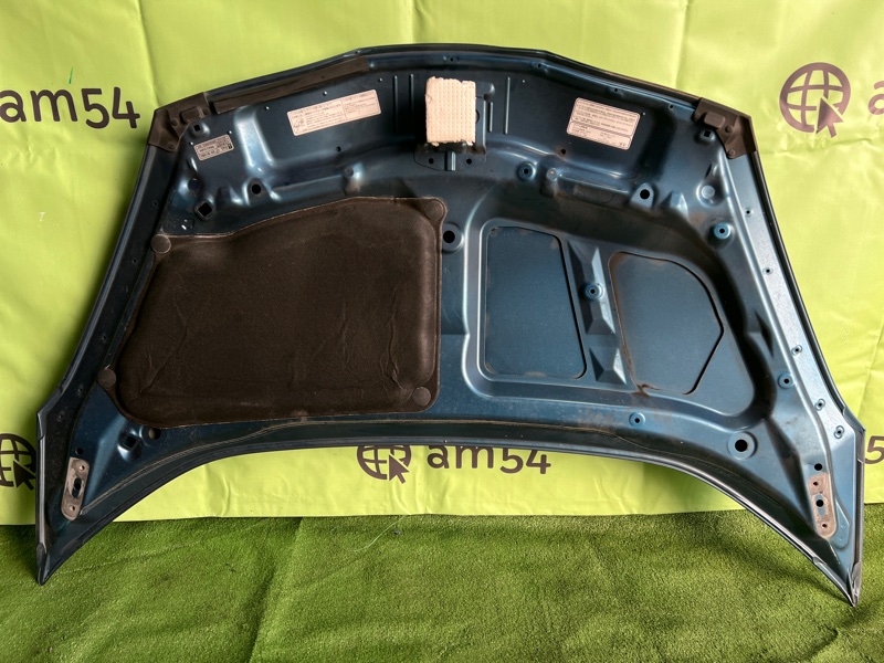 Капот FIT SHUTTLE GP2