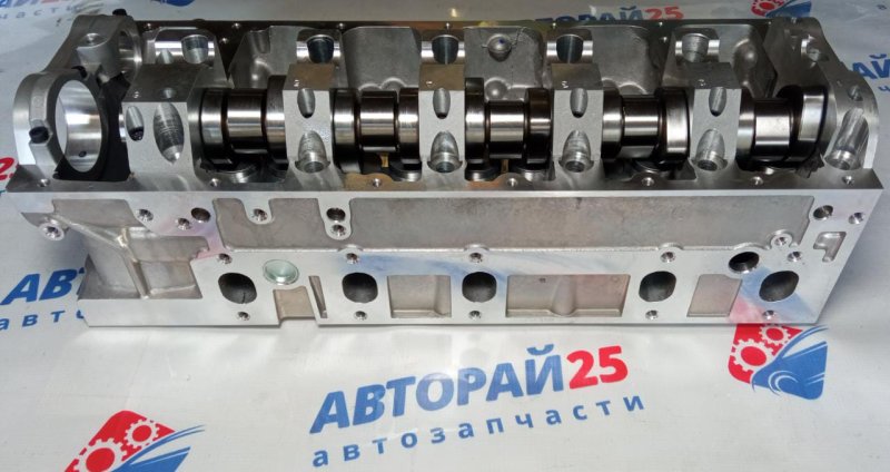 Головка блока цилиндров в сборе Volkswagen Touareg AXD