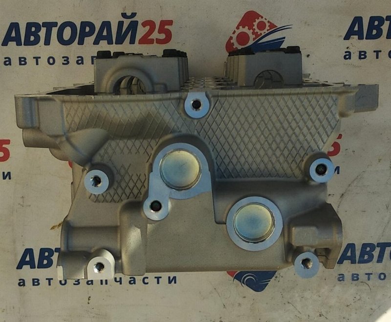 Головка блока цилиндров в сборе L200 1005C643 4N15