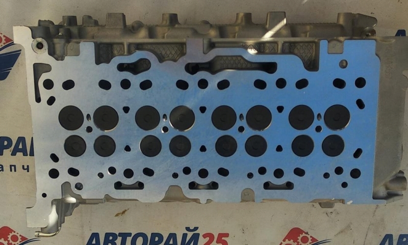 Головка блока цилиндров в сборе L200 1005C643 4N15