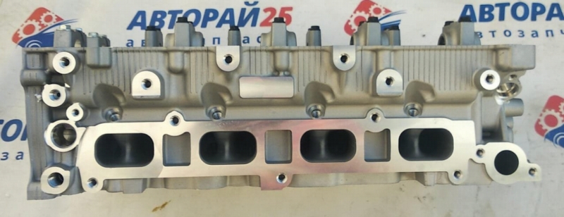 Головка блока цилиндров в сборе L200 1005C643 4N15