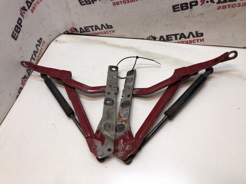 Петля крышки багажника Focus 1 2000 Седан 2.0 zetec