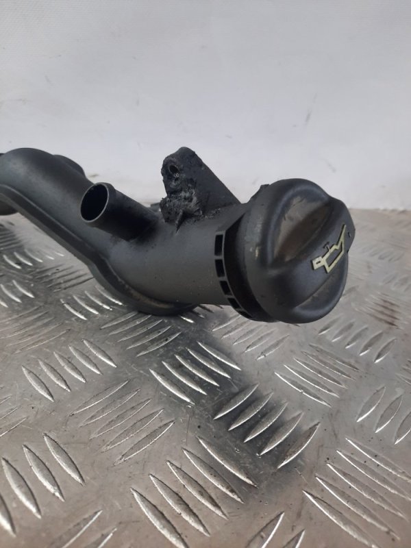 Маслозаливная горловина Scudo 2 2008 2.0 RHK