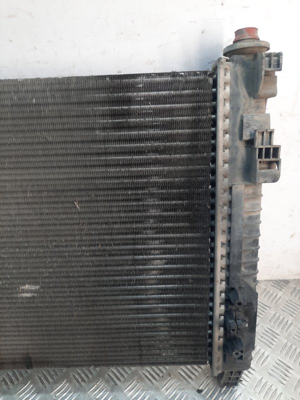 Радиатор (основной) A-Class 2006 Хэтчбэк 5 дв. 2.0 640942