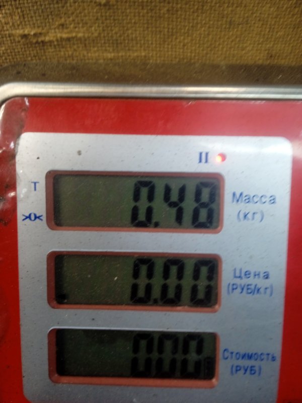 Форсунка 500 2010 Хэтчбэк 3 дв. 1.3 Z13DTJ