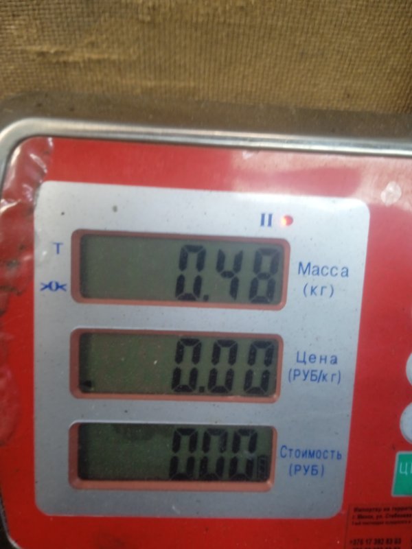 Форсунка 500 2010 Хэтчбэк 3 дв. 1.3 Z13DTJ