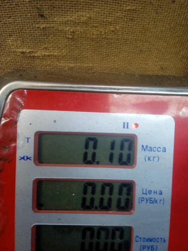 Датчик коленвала 500 2010 Хэтчбэк 3 дв. 1.3 Z13DTJ